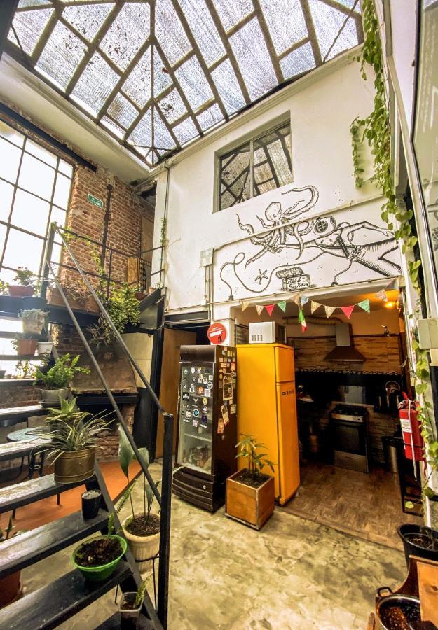 Casa Mutante Hostel Montevideo