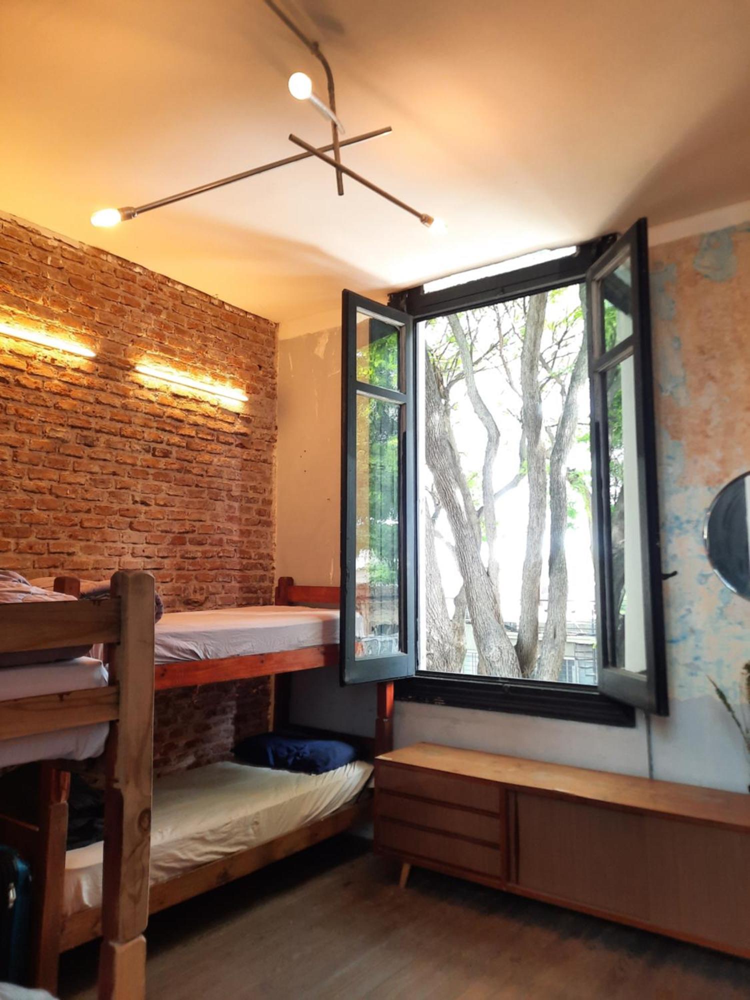 Hostel Casa Mutante *